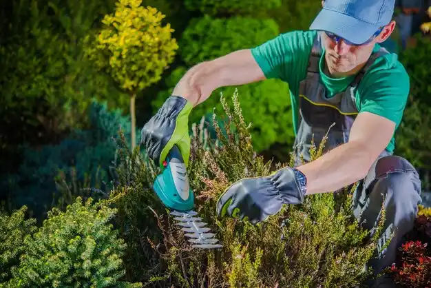 landscaping services Lyndhurst